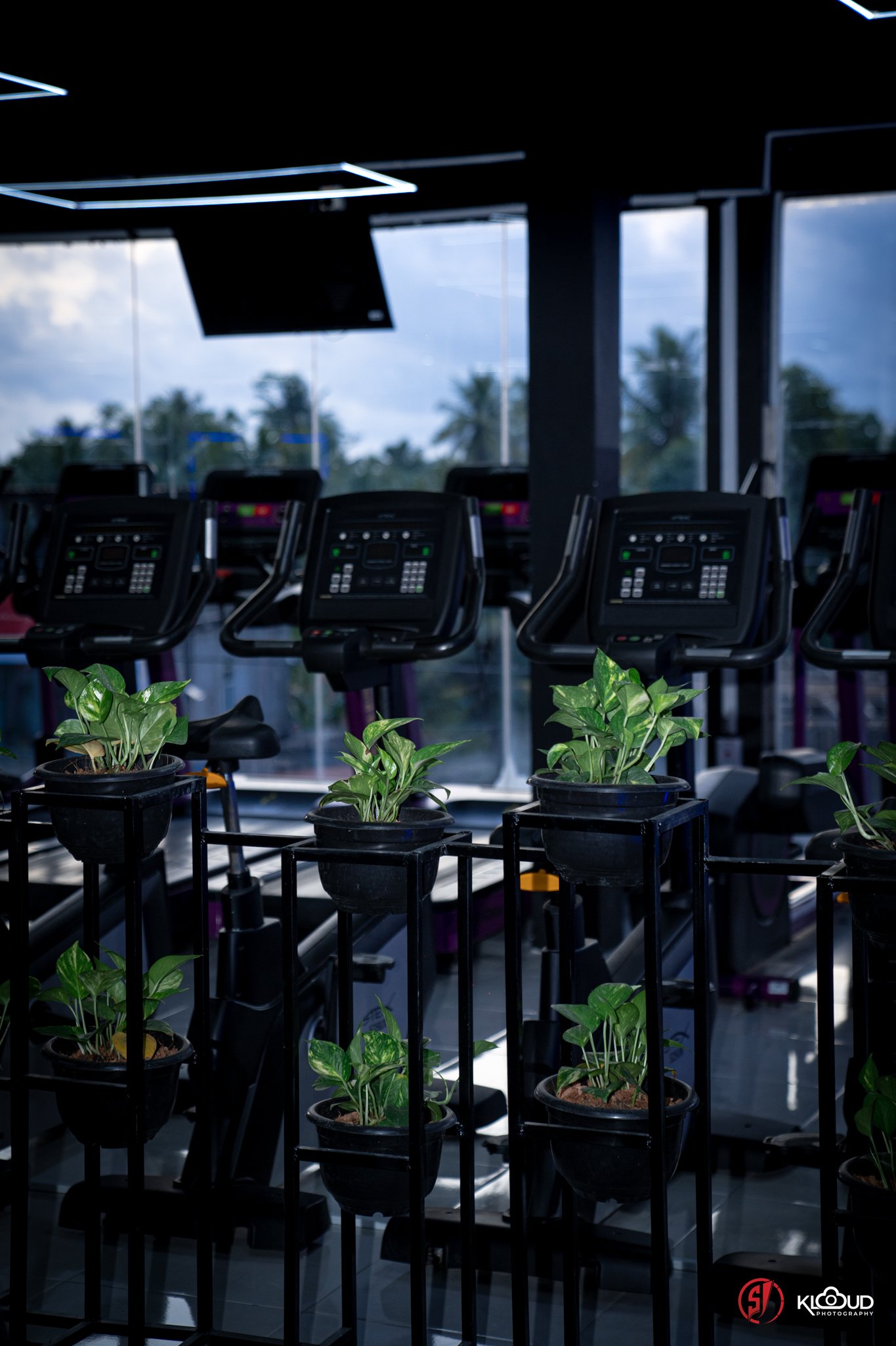 Free Weights Area