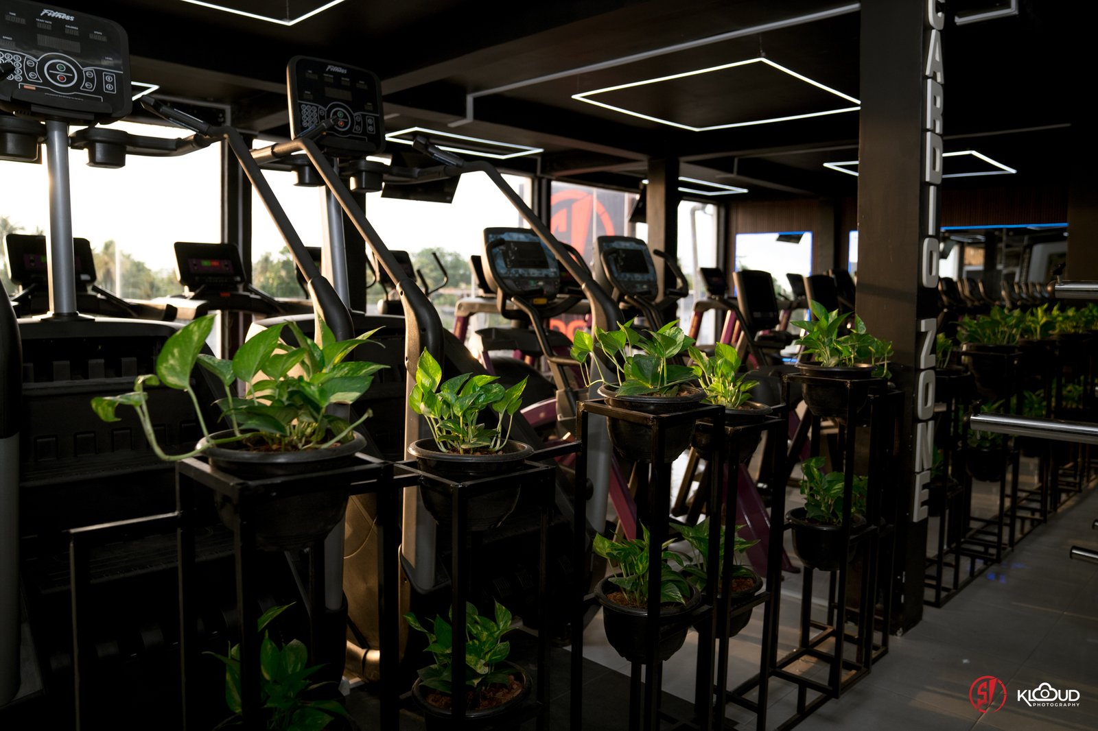 Cardio Zone